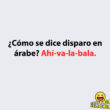 Disparo Divertido